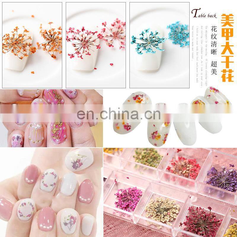 Factory wholesale dry flower nail art for dried flowers sale