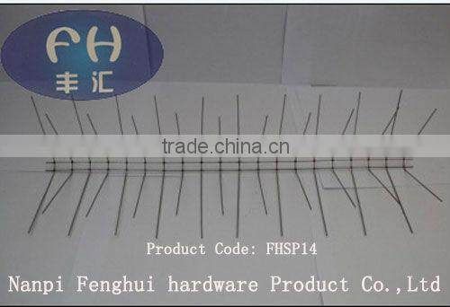 Best quality bird spike buy from China
