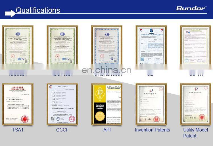 Bundor DN50-600 Flange Wedge Gate Valve PN16 Hand Wheel Rising Stem Extension Stem Gate Valve