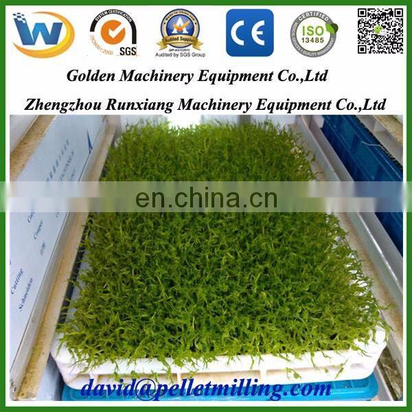 Automatic animal feed seed cattle green fodder bean sprout growing machine