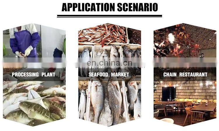 high quality fish scale removal machine from Elva