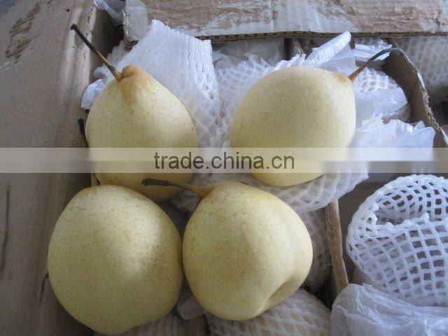 Chinese fresh Ya pear