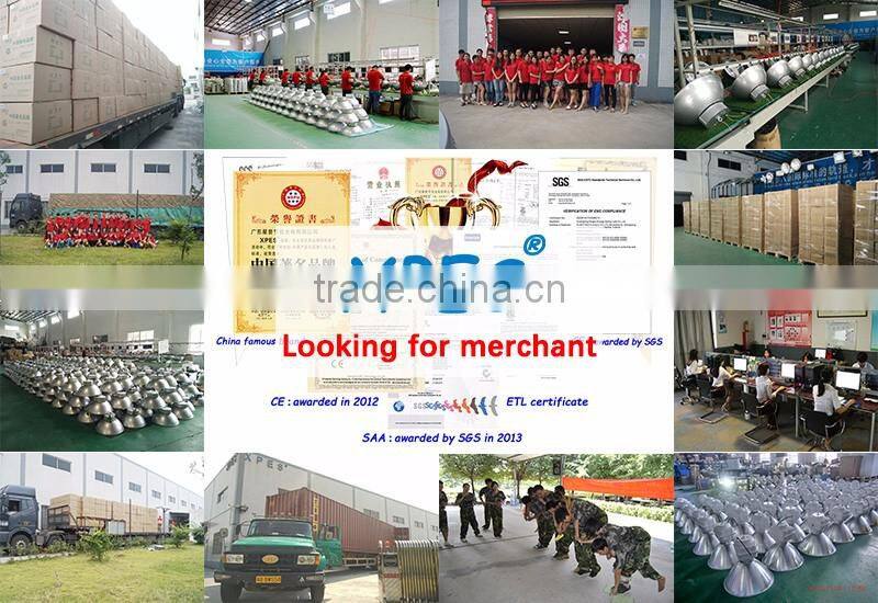 High Efficiency Lumen bi-spectrum induction grow light magnetic 400/500/600watt for medicinal plants