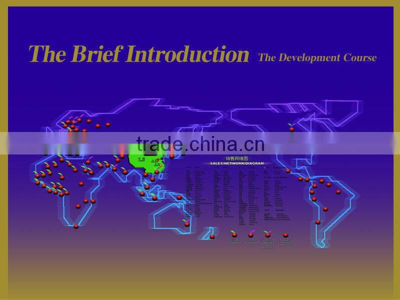 Green tea Matcha Style Lucky Bird tea new BIO Japan