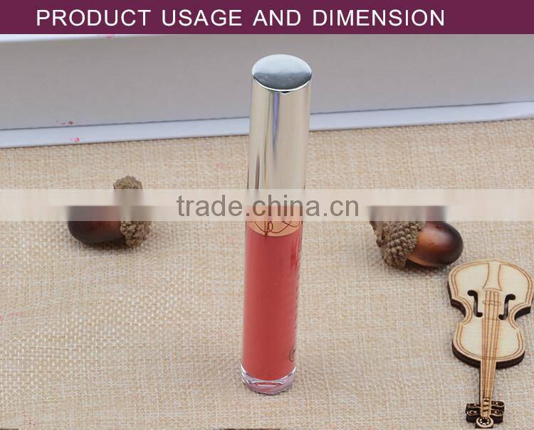 Waterproof matte korean new style branded makeup promotional lip gloss