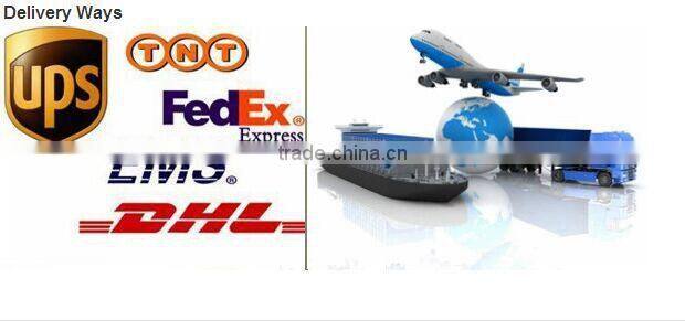 Compound Sublance Probe