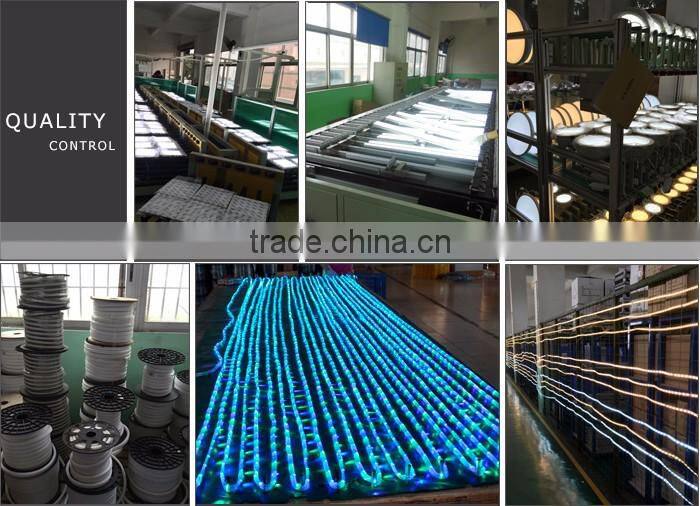 Pure White IP68 Full Waterproof LED Neon Flex Light 24V