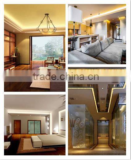 DC 24V Waterproof IP68 Glue Filling 30LEDS SMD2835 flexible led strip rope light