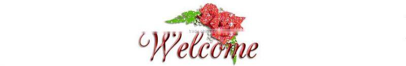 2014 Memorial coin, game token coin, metal coin