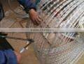 razor barbed wire(factory)