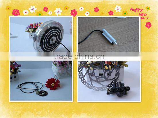 250W DIY SLA sliding rack li-ion battry e-bike kits