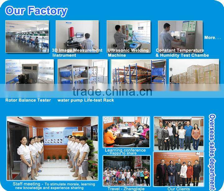 Diaphragm 12v 24v dc brushless Home Oxygen Concentrators pump