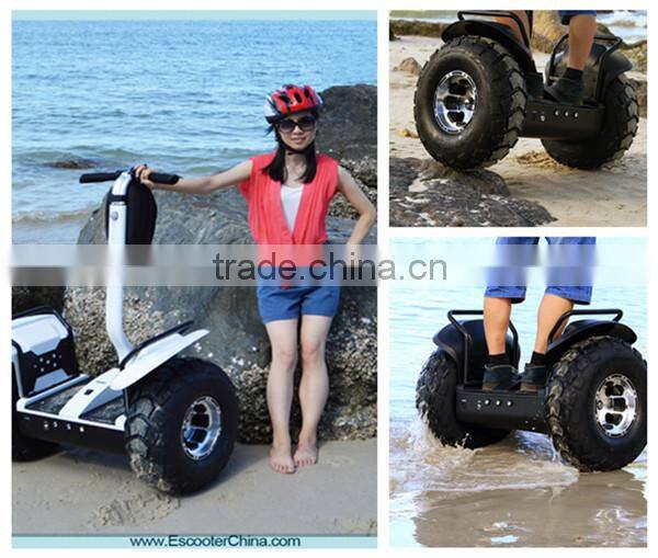 19 Inch Shock-Absorb Hire Pride Mobility Scooter: Rascal and Fast with 20 Km Per Hour