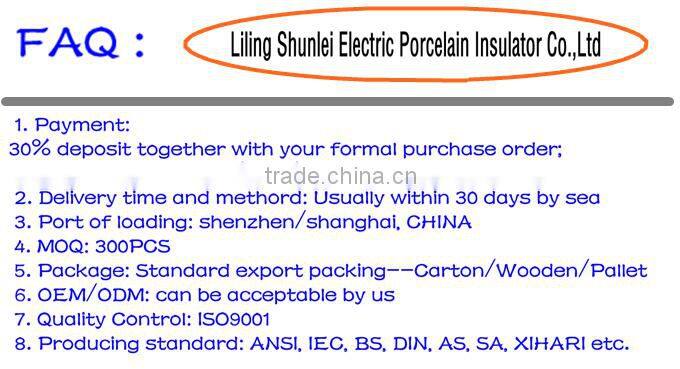High Quality Transformer Porcelain Bushing insulator