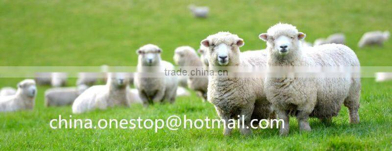 Lamb Slaughtering Equipment Slaughtehouse Abattoir Machinery Line for Mutton