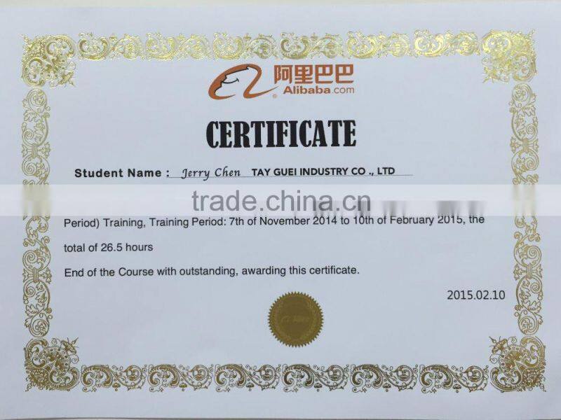 TAYGUEI rotor stator manufacturer for 300kw high rpm electrical motor