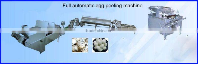 16 Promotion activity egg grading and packing equipment 0086 13721438675