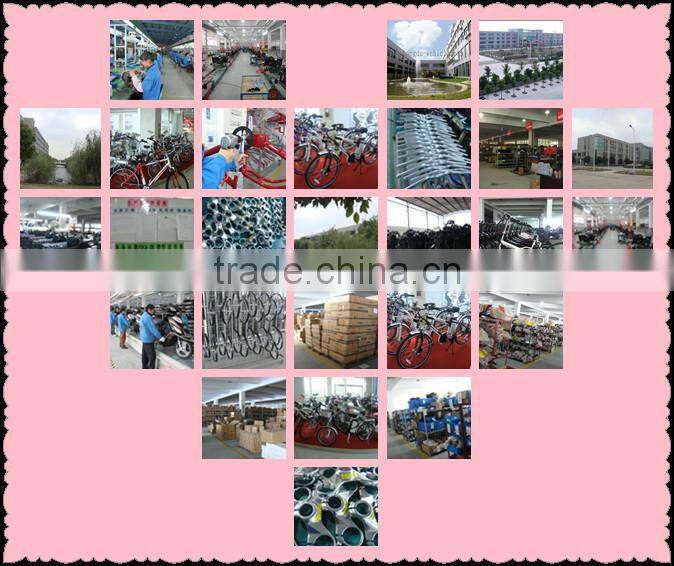 36v 350w 10AH electric bike conversion kit chinese Water bottle