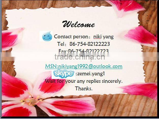 High quality and custom printed tender leaf tea bags/mini tea bag/tea bag for sale