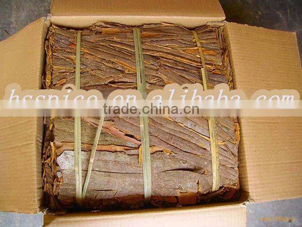 cassia whole