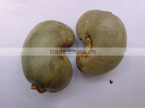 Raw Dried Cashew Nut/Cashew nuts in Africa