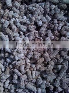 Thailand Premium Dried Sweet Feed Corn for Sale