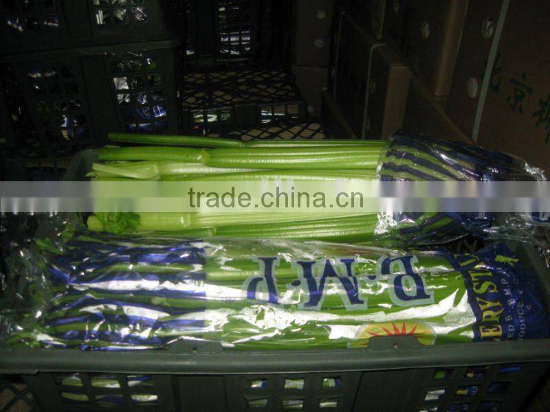 Chinese fresh celery
