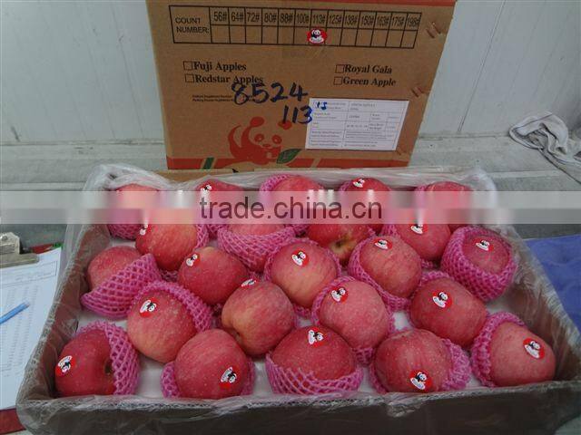 2014 China Hot sale Fresh Fuji Apple