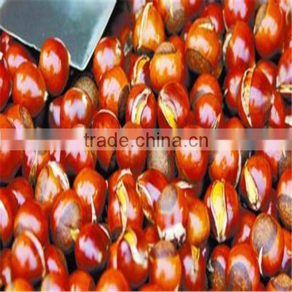 2014 hot sale and good quality Chinese chestnut opening machine 0086-13503826925