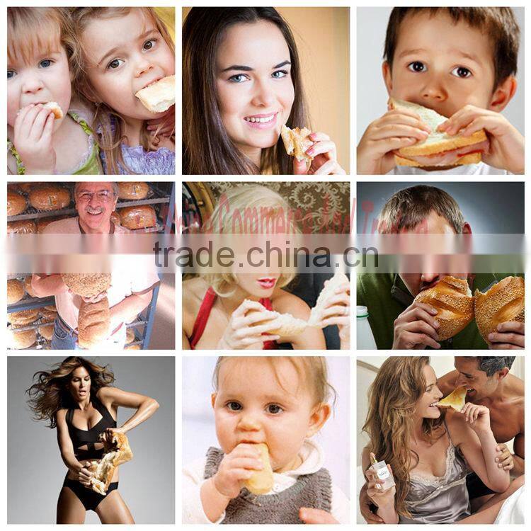 McDonald's cooperator new stainless steel electric spiral dough mixer