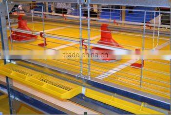 Automatic chicken cage