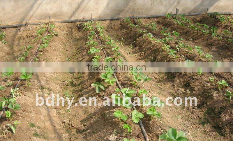 Anti-block drip irrigation tape with flat dripper for irrigation of greenhouse