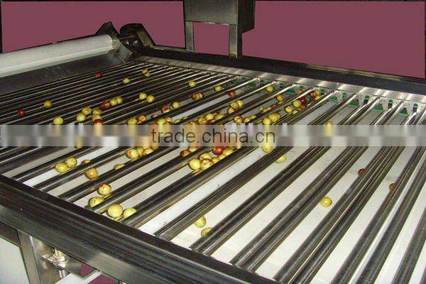 jujube production line/date processing line for high capacity