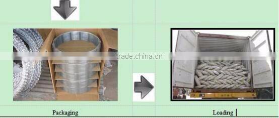 Single Razor,2 strands,4 strands Razor Type and Galvanized Surface Treatment barbed wire price