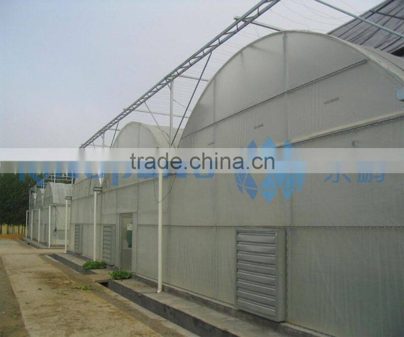 Multi Span PE Film Greenhouses For Vegetable
