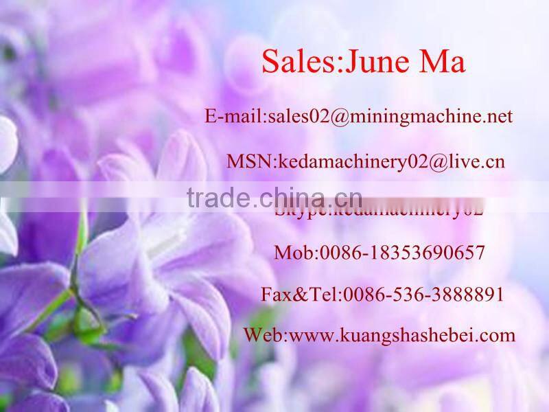 100 T/H Best Ability Ghana Gold Mining Equipment