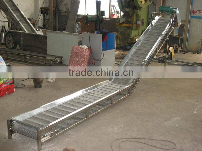 Stainless Steel Belt Food Vegetable Fruit Hoisting Machine Elevator Hoister