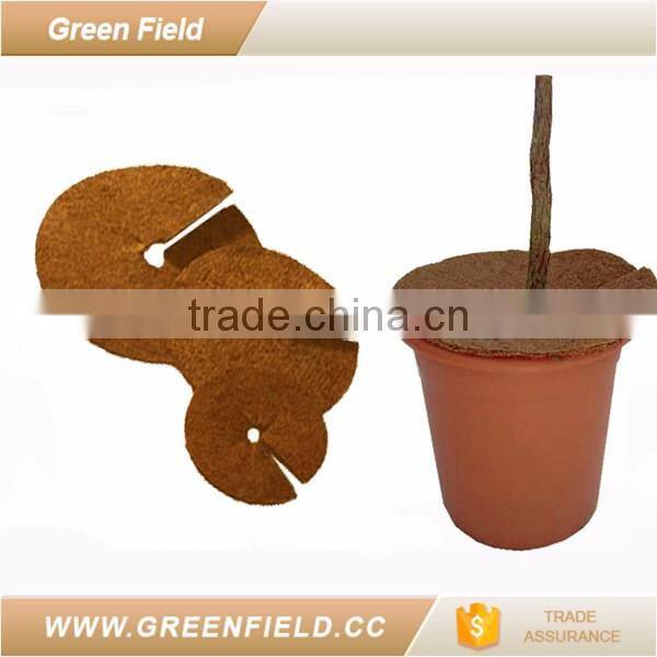 Green Field coco mat production wholesale coco fiber multh mat