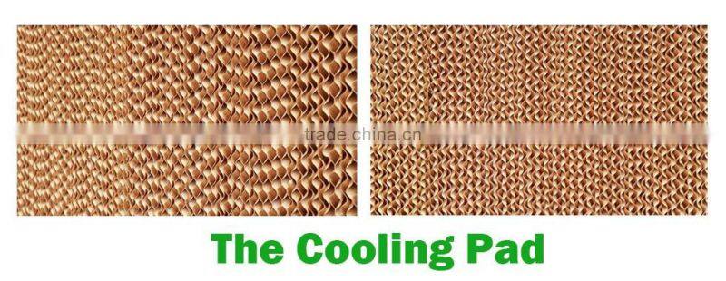 Industrail Ventilation Air Exhaust Fan for Greenhouse