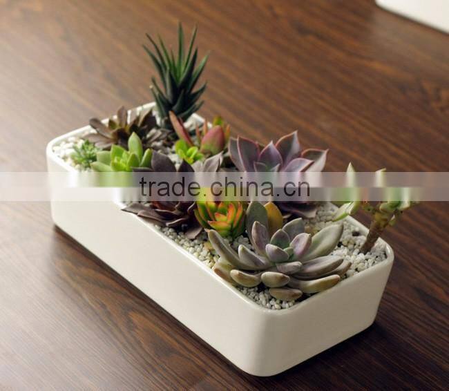 Home desktop decorative white rectangular ceramic planter