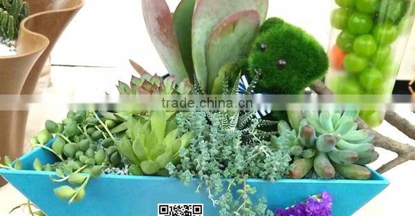 Biodegradable colorful plastic flower pots eco plant fiber pots