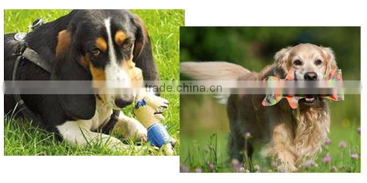 Hot selling pet dog chewing toys 3 color squeaky rubber TPR dog rings