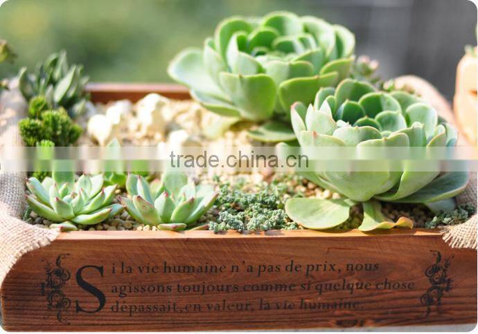 china wooden hollow out serving trays for food,flower