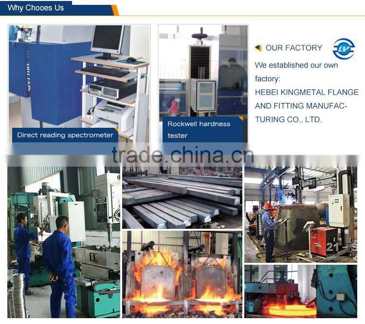 alibaba express 10" JPS Casting Weld Neck Flange