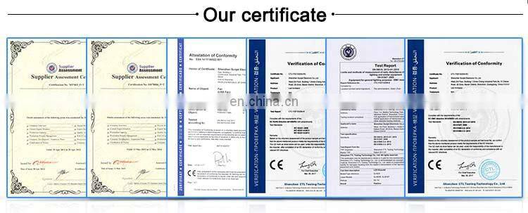 2018 SUNJET New Product Party Supplies Event Joyful Controlled Colorful Led Flashing Light Stick