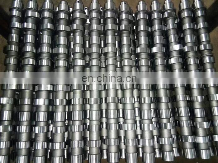 Dachai Diesel Engine Parts Camshaft TCD 2013 L06 4V 04909274