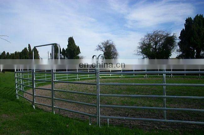 Steel Mesh Panel For Chicken