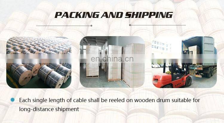 Net Work FTTH Drop Cable Cable Standards 1km Price For Fiber Patch And Fiber Optic Tools