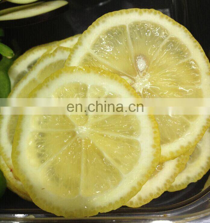 multifunctional vegetables slicing machine DX-100 on fruit and vegetable processing machines