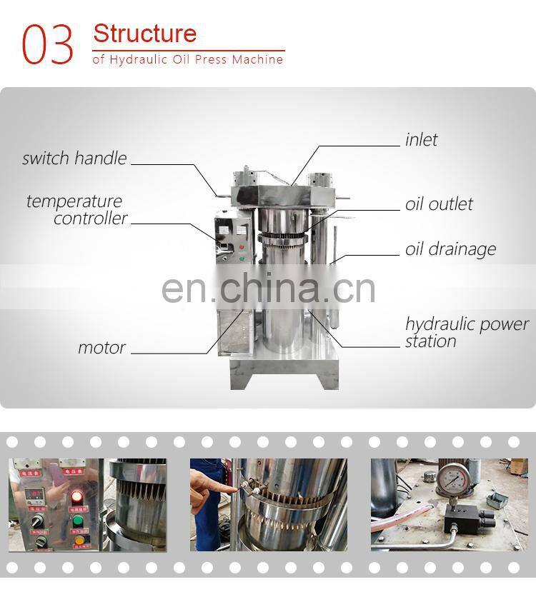 avocado oil press oil extraction argan oil press machine